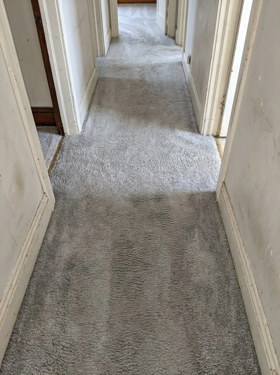 Hallway carpet with wear marks removed after professional steam cleaning