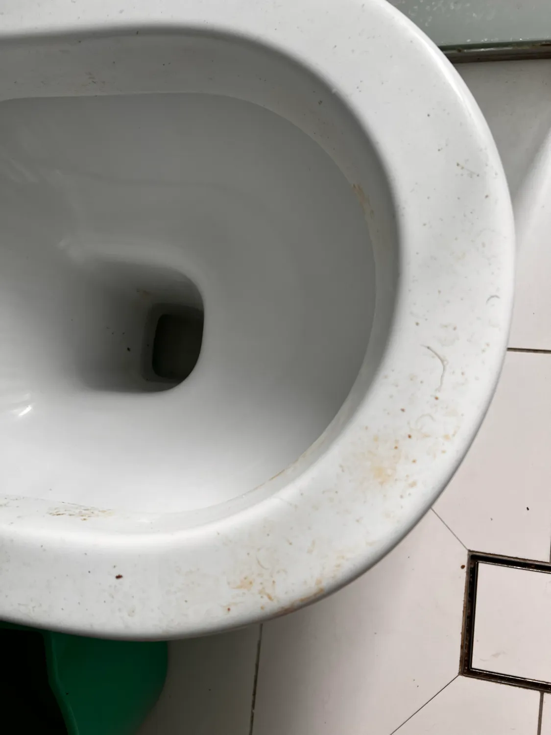 Toilet bowl dirty before cleaning