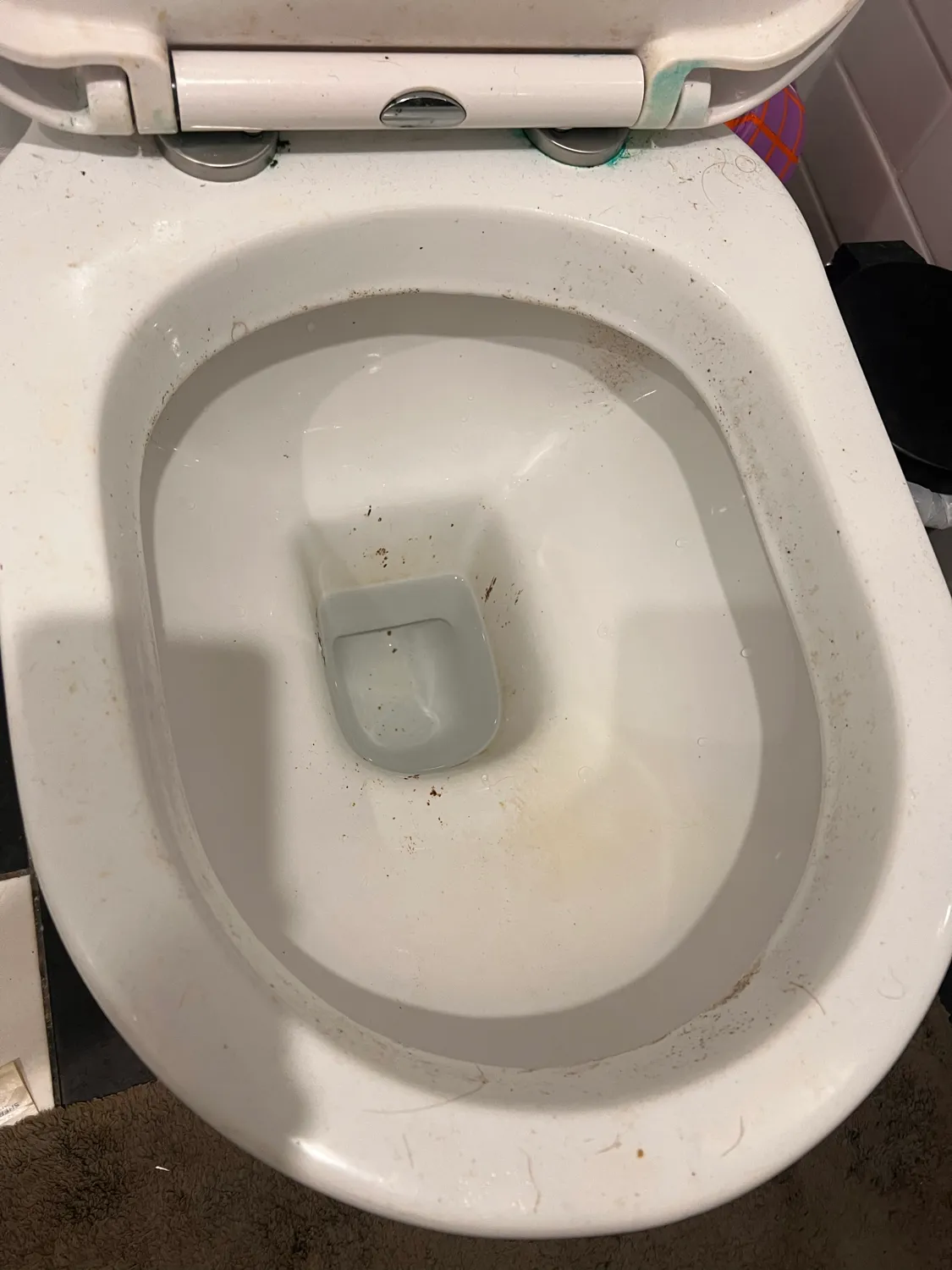 Heavily stained toilet bowl before cleaning